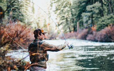 What is Email Phishing And How Can I Avoid It?