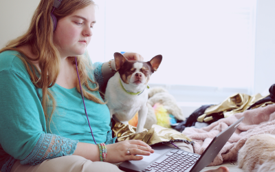 ADA and Privacy Compliance: Your Website, Your Responsibility
