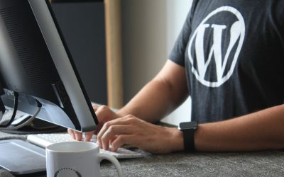 10 Benefits of Using WordPress For Your Website