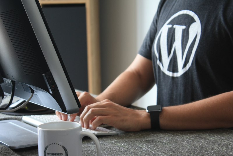 10 Benefits of Using WordPress For Your Website
